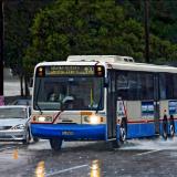 Sydney Buses 3429
