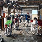 Shearing at Griffdale